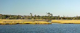 Beautiful Marshes