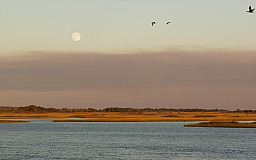 Sunset from New River