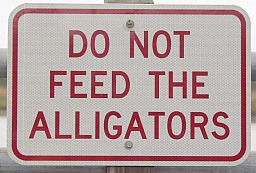 Don't Feed the Alligators