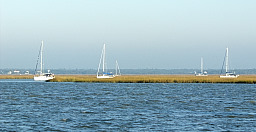 Boats Anchored in Marshes