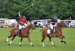 Newport Polo