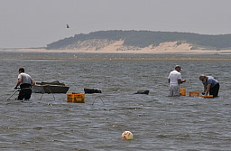 Clamming