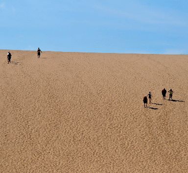 Dune Walk