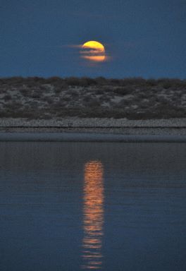 Full moon rising