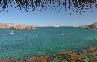 View from Jerry's of Bahia Concepcion