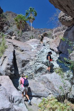 Tabor Canyon