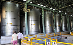 Fermentation vats