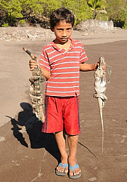 Iguana Hunter