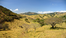 Lanscape headed to Monteverde