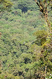 1 KM zipline