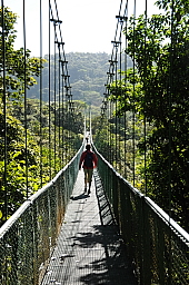 Hanging bridge