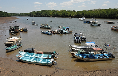 Puerto Mutis harbor