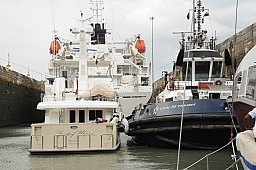 Nesting in the lock