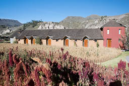 Colca Lodge