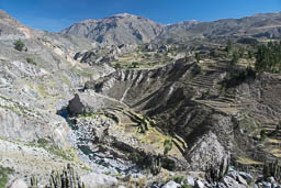 Colca Canyon