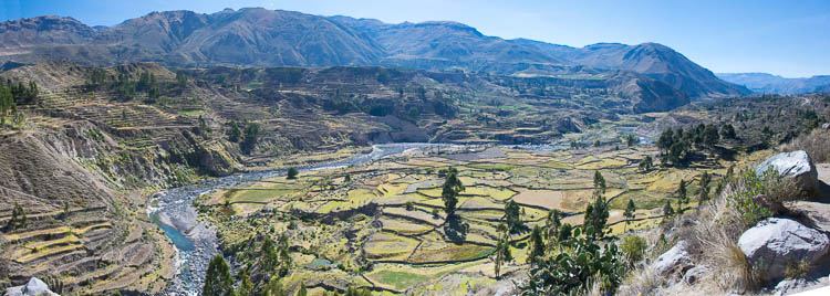 Colca Canyon