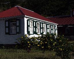 Red Roofs, Green Shutters