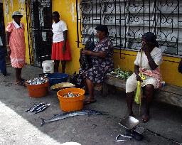 Typical Street Scene