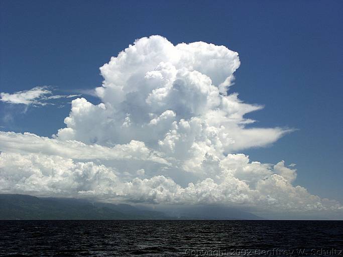 , Cayos Cochinos, Honduras, P6090611