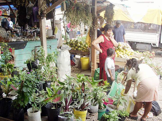 Belize City, , Belize, 20030201-090254