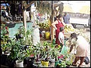 Belize City, , Belize, 20030201-090254