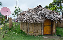 Traditional hut