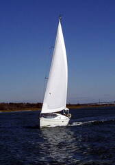 Sailing Buddies