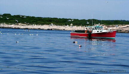 Lobsterman