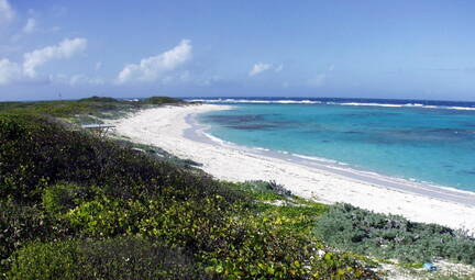 Loblolly Bay East