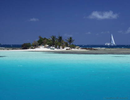 Union Island Reef 
from BlueJacket