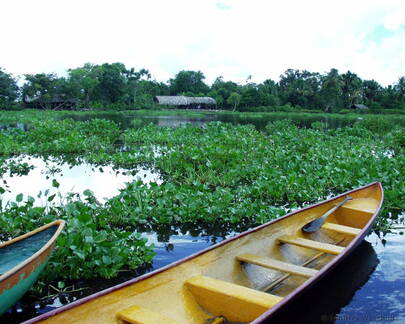 Looking Across River