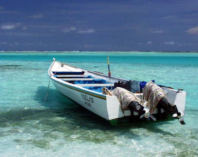 Fishing Boat
& Reef