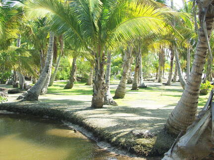 Rendezvous Cay