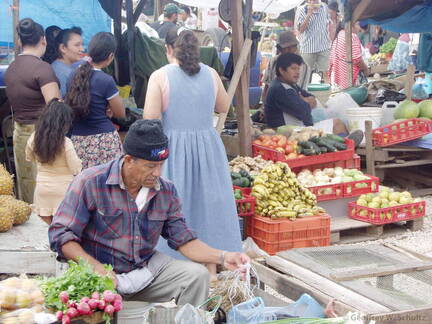 Queen's Square Vegetable Market