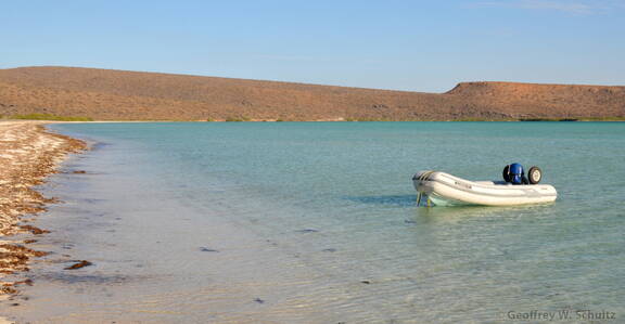 Beach at Ensenada
de la Raza