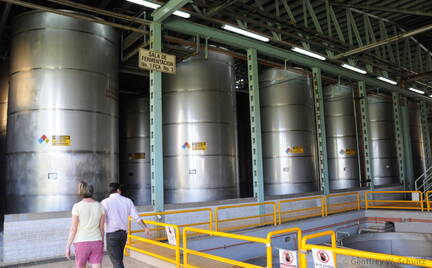 Fermentation Vats