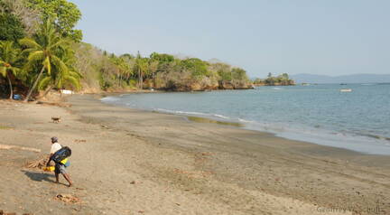 Beach at Santa Catalina