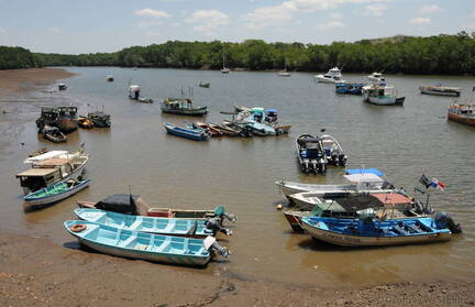 Puerto Mutis anchorage at low tide