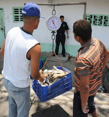 Fishermen selling their catch