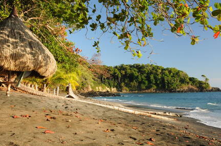 Beach at Isla Parida