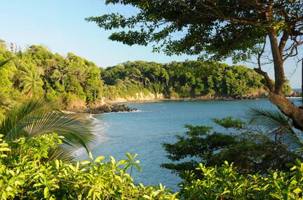 Coastline at Isla Parida