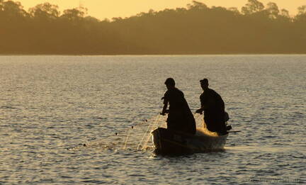 Net fishing at sunrise